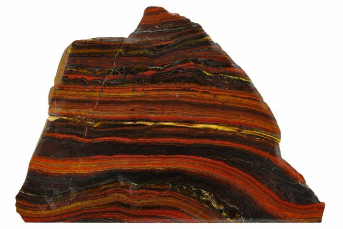 Polished Tiger Iron Stromatolite - Billion Years #129203
